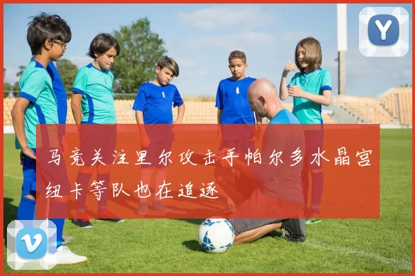 马竞关注里尔攻击手帕尔多水晶宫纽卡等队也在追逐