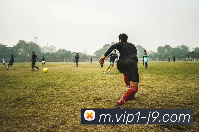 多媒体互动体验
